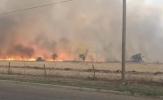 Main image for An Intense Footage Shows Texas Firefighters Battling Massive Hunggate Fire.