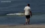 Main image for Man Who Attacked Endangered Hawaiian Seal With a Rock Insists He's the Good Guy.