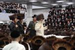 Main image for Motzei Shavuos in Satmar