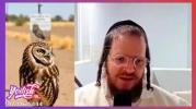 Main image for Yoelish - Interesting Talk with R' Shimon Rolnitzky about Casa Grande Families