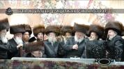 Main image for Call from the Belzer Rebbe Shlit"a Regarding the Gzeiros from Medinat Yisrael