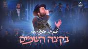 Main image for Avrumi Danziger & Tenuah - Biktzei Hashamayim