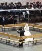 Main image for Skverer Rebbe Shlit"a's Mitzvah Tantz at a grandchild's wedding, without music, during Shiva for his sister, the wife of the Rachmastrivka Rebbe Z"L.