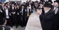 Main image for Thousands Attended Wedding of Grandchild of Rav Moshe Hillel Hirsch Shlit"a