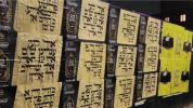Main image for Immense Nachas: Highlights of the Torascha Sha'ashu'ei Siyum HaShas 5785