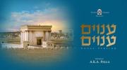 Main image for Old But Good: Yossi Green Anavim