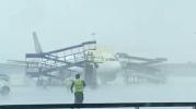 Main image for Brave Ground Staff Risk Lives to Save Air India Plane from Runaway Stepladder in Fierce Delhi Airport Storm.