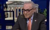 Main image for Democrats on PANIC MODE: Schumer Warns SAVE Act Would Remove 25 Million from Voter Rolls.