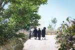 Shabbos Zachor in Tzfas: Satmar Yetev Lev Eretz Yisroel celebrates Siyum Chatzi HaShas, led by the Satmar Yerushalayim Av Beis Din Shlit"a, son of the Satmar Rebbe Shlit"a.