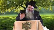 Main image for A Thought on Parshas Korach Tashpav