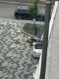 Main image for WATCH VIDEO: Another Angle of Montreal Active Shooter Near a Chabad Center.