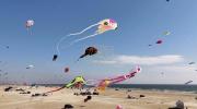 Main image for Denmark's North Sea Coast Explodes with 25,000 Kites in One of Earth's Greatest Annual Festivals.