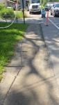 What's Happening in Nikolsburg