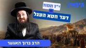 Main image for 17 Tammuz: The Cheit HaEgel
