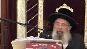 Main image for Rabbi Gavriel Zinner Shlit"a on whether women should fast on Shiva Asar B'Tammuz