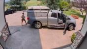 Main image for Colorado Man Gets Scare After Black Bear Climbs Into His Toyota Truck