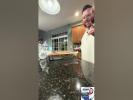 Main image for Alter Baruch Levy drops in fine briskets