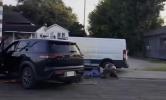 Main image for Illegal Mexican National Rams ICE Vehicle, Attempts to Kill Agent &mdash; Shot and Dead.