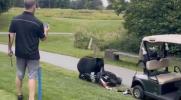 Main image for Hungry Black Bear Rummages Through Golf Cart and Makes Off with the Clubs.