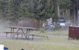 Main image for Photographer Captures Moment Furious Yellowstone Bison Gorges Grandfather Over 100 Yards Away From Safety.