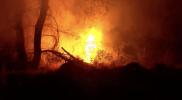 Main image for Croatia's Wildfire Explodes Through Woodlands.