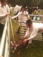 Summer Activities Parshas Vaeschanan in Camp Satmar Boro Park - Kenoza Lake