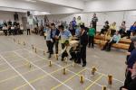 Summer Activities Parshas Vaeschanan in Camp Satmar Boro Park - Kenoza Lake
