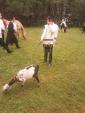 Summer Activities Parshas Vaeschanan in Camp Satmar Boro Park - Kenoza Lake