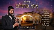 Main image for Breslov Niggunim Medley | Avraham Balti