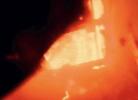 Main image for Dramatic Footage: Sacramento Firefighters Charge into Blazing House Fire.