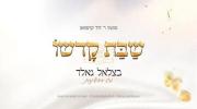 Main image for Shabbos Kodesh with Yiddish Nachas - Nigunei Dovid Kaufman
