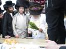This Shabbos: Mevakshei Hashem Gathered in Tzfas Led by the Mekubal Rav Avish Tzinwirt Shlit"a for the Arizal's Yahrtzeit near Kever Binyamin HaTzaddik