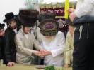 This Shabbos: Mevakshei Hashem Gathered in Tzfas Led by the Mekubal Rav Avish Tzinwirt Shlit"a for the Arizal's Yahrtzeit near Kever Binyamin HaTzaddik