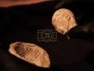 Main image for 3,000-Year-Old Clay Mold Proves Jerusalem Made Its Own Architectural Findings. 