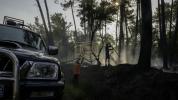 France's Largest Wildfire in Decades Scorches 42,000 Hectares.