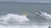 Main image for Young Great White Steals the Show With Wild Leap Off Newport Beach.