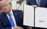 Main image for No More Free Pass: Trump Targets Birth Tourism and Terror-Linked Citizenship Claims.