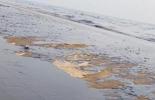 Main image for Oil Coats Beaches on Iranian Islands in Strait of Hormuz.