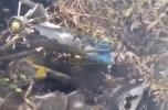 TRAGEDY IN KENYA: Five US Citizens Die in Helicopter Crash.