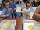 Fun Activities at Camp Yachad Krasna Boys Camp