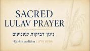 Main image for  A Sacred Prayer for Sukkot | Traditional Lulav Music from Ruzhin