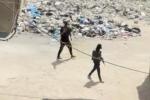 Main image for STILL ARMED, STILL WATCHING: Hamas Reasserts Grip on War-Torn Gaza