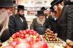 The Makava Gaavad Shlit"a Blesses the Apples and Honey for the Girls of 'Bayis Lepleitos'