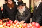 The Makava Gaavad Shlit"a Blesses the Apples and Honey for the Girls of 'Bayis Lepleitos'