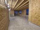 Gigantic Sukkah Built by the Renowned Plan Ahead Company for a Nagid Coming to Eretz Yisroel for Yom Tov