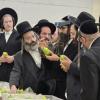 Daled Minim Yarid of Premium Sets at Low Prices by the Kiryas Joel Tzedakah Kupah Tzidkas Ha'ir