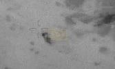RIDGELINE RESCUE: Declassified Video Shows Injured Pilot Pulled To Safety