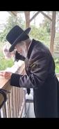 Main image for The Ohevan Shel Yisroel, the Nikolsburger Rebbe, Atoning for Klal Yisroel's Sins with Minhag Kaporos.