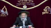 Main image for Hachana for the Yom Hakadosh, Yom Kippur 5787 with Harav Hatzadik the Mashpia Reb Elimelech Biderman Shlit"a