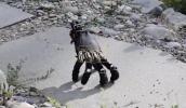 Main image for NO LEGS, NO WHEELS: Robot Hand Crawls Using Only Its Fingers